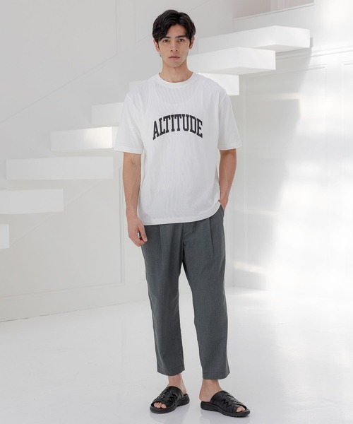 GLOBAL WORK(グローバルワーク)の「シャーベッTEEロゴ/半袖/173628(Tシャツ/カットソー・メンズ・アイボリー/サックスブルー/その他1/その他2/ダークブルー/ブラック/グレー系その他3/その他3/ダークブラウン/ホワイト系その他/チャコールグレー・X-LARGE/MEDIUM/LARGE/SMALL)」の22枚目の写真