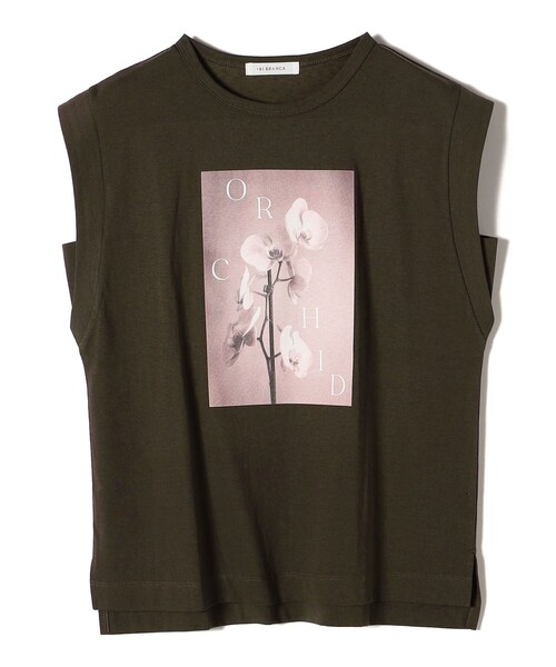 +81BRANCA(ハチイチブランカ)の「*【SHIPS別注】81BRANCA:ノースリーブ シアー フォト TEE(Tシャツ/カットソー・レディース・オフホワイト/チャコールグレー・ONE SIZE)」の8枚目の写真