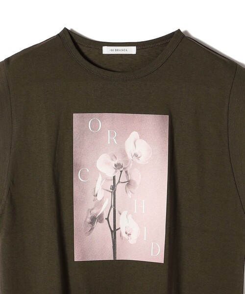 +81BRANCA(ハチイチブランカ)の「*【SHIPS別注】81BRANCA:ノースリーブ シアー フォト TEE(Tシャツ/カットソー・レディース・オフホワイト/チャコールグレー・ONE SIZE)」の6枚目の写真