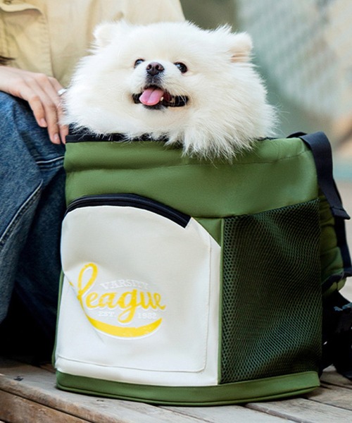 aimoha(アイモハ)の「抱っこ型ペットソフトキャリーバッグ(ペット用キャリーケース・レディース・グレー/グリーン・FREE)」の1枚目の写真