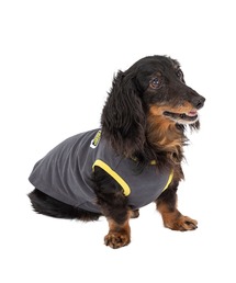 MANDARINE BROTHERS（マンダリンブラザーズ）の「リンガーTシャツ/小型犬（ペットウェア・レディース）」