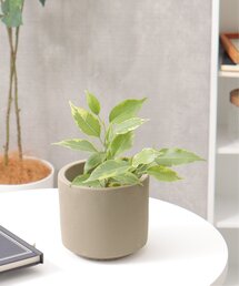 【値下げ！】花瓶 楽天市場】xzy(エグジー)花瓶の通販