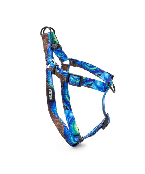 首輪・ハーネス・リード WOOF CONCEPT Aqua Cosmopolitan Leash M WOOF CONCEPT リーシュ (180cm)