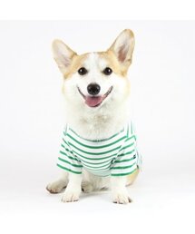 PETDERELLA PROJECT（ペッデレラプロジェクト）の「マリンストライプTシャツ（グリーン）（ペットウェア）」