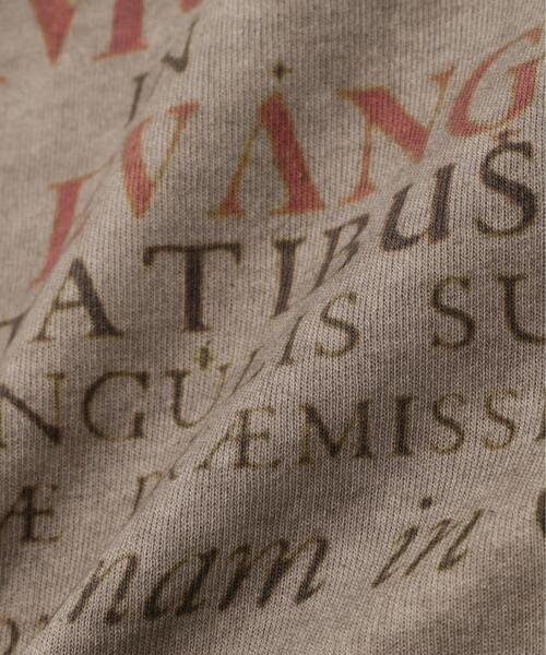 DANKE SCHON(ダンケシェーン)の「DankeSchon/ダンケシェーン/SPRAY BURN S/S TEE BIBLE(Tシャツ/カットソー・メンズ・グレー・L/M)」の8枚目の写真
