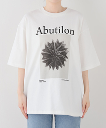 JOHNBULL/ジョンブル karl blossfeldt abutilon T