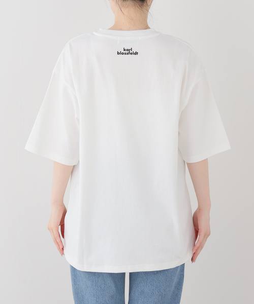 FRAMeWORK(フレームワーク)の「JOHNBULL/ジョンブル karl blossfeldt abutilon T(Tシャツ/カットソー・レディース・ホワイト・FREE)」の3枚目の写真