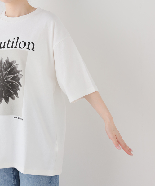 FRAMeWORK(フレームワーク)の「JOHNBULL/ジョンブル karl blossfeldt abutilon T(Tシャツ/カットソー・レディース・ホワイト・FREE)」の4枚目の写真