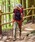 phenix outdooritFjbNXAEghAj́uphenix OUTDOOR(tFjbNXAEghA) fB[X GNXgXgb` NVOiCpc X^_[gVGbg A[gpc (H)ȋpcjvbJ[L