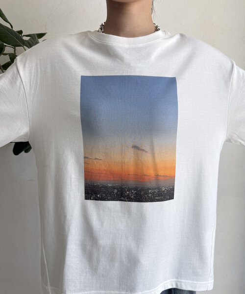 セール】【WEB限定】転写プリントTEE（Tシャツ/カットソー