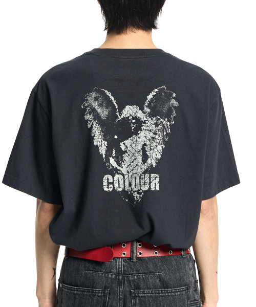 VONVAT(ヴォンバト)の「Back Graphic Washed Short Sleeve(Tシャツ/カットソー・レディース・チャコール・FREE)」の1枚目の写真