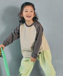 BREEZE(�u���[�Y)�́yWEB����z���O�����J���o������T�V���c(T�V���c/�J�b�g�\�[)