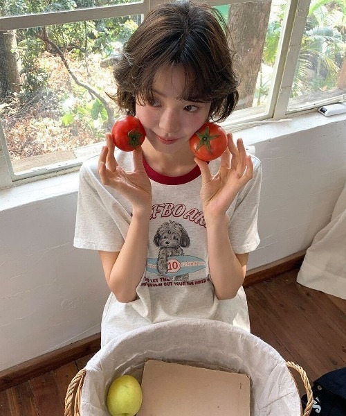 SHEPP(シープ)の「ドッグプリント バイカラーリンガー半袖Tシャツ トイプードル(Tシャツ/カットソー・レディース・ホワイト・L/M)」の13枚目の写真