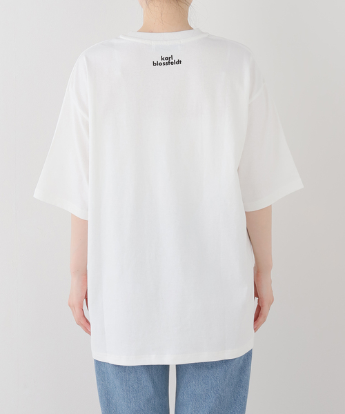 FRAMeWORK(フレームワーク)の「JOHNBULL/ジョンブル karl blossfeldt cucurbita L T(Tシャツ/カットソー・レディース・ホワイト・FREE)」の3枚目の写真