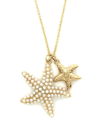 ROSE BUD | (LAUREN-SPENCER)CN2042 NECKLACE WITH ASTEROID(ネックレス)