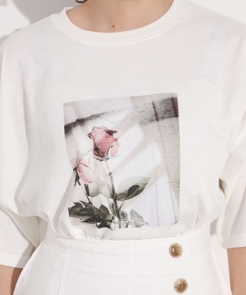 one after another NICE CLAUP（ワンアフターアナザーナイスクラップ）の「転写プリントTシャツ（Tシャツ/カットソー・レディース・オフホワイト/ピンク/ホワイト系その他・FREE）」の15枚目の写真