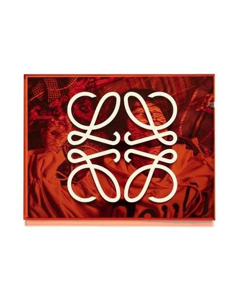 LOEWE（ロエベ）の「リーフ アナグラム チャーム  (カーフ&真鍮)（その他小物・メンズ・イエロー×グリーン・ONE SIZE）」の2枚目の写真