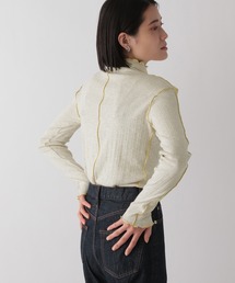 メローテレコタートルLS 259744