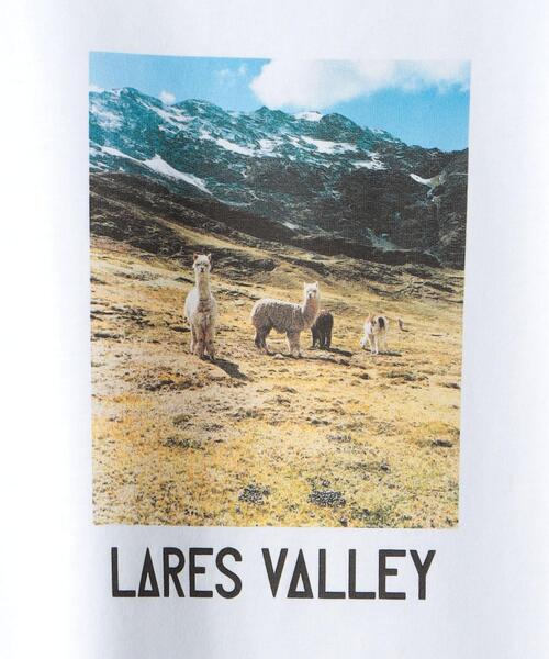 TRANSIT(トランジット)の「【別注】<TRANSIT>LARES VALLEY TEE/Tシャツ(Tシャツ/カットソー・レディース・ホワイト・FREE)」の13枚目の写真