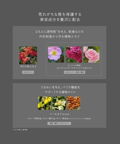 Naturaglace(ナチュラグラッセ)の「ナチュラグラッセ リップエッセンス グロス(口紅/リップティント/グロス・レディース・02_アーシーウォームス/01_イブニングペタル・FREE)」の10枚目の写真
