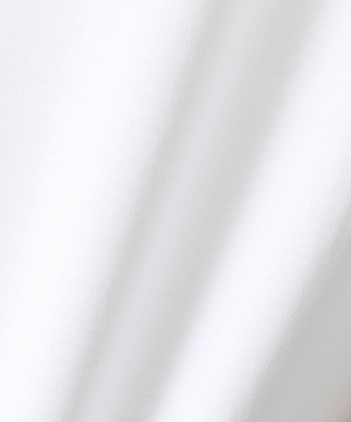 NOLLEY’S（ノーリーズ）の「《ビジカジ対応》超長綿ハイゲージシルケット ポンチドレスCN ロンT 25AW（Tシャツ/カットソー・メンズ・ホワイト/ベージュ系その他/ブラック/ダークネイビー・S/M/L/XL）」の22枚目の写真