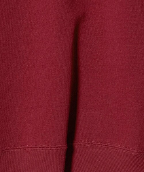 H　BEAUTY&YOUTH UNITED ARROWS（エイチビューティーアンドユースユナイテッドアローズ）の「＜H＞ドライスウェット バックガゼット プルオーバー（スウェット・レディース・ワイン/グレー系・FREE）」の17枚目の写真