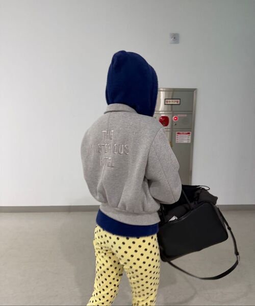 THE MYSTERIOUS HOTEL（ザミステリアスホテル）の「CROPPED BOMBER JK [GREY]（その他アウター・レディース・その他・FREE）」の5枚目の写真