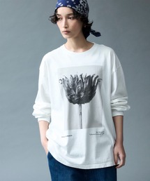 アーティストロングスリーブTシャツ（Karl Blossfeldt / Centaurea Ruthenica）