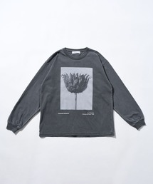 Johnbull（ジョンブル）の「アーティストロングスリーブTシャツ（Karl Blossfeldt / Centaurea Ruthenica）（Tシャツ/カットソー）」
