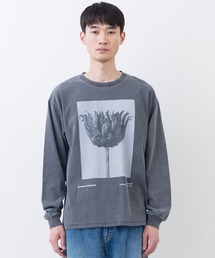 Johnbull（ジョンブル）の「アーティストロングスリーブTシャツ（Karl Blossfeldt / Centaurea Ruthenica）（Tシャツ/カットソー）」