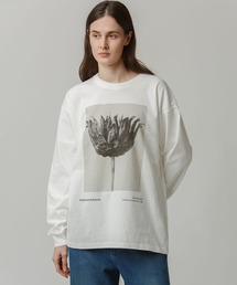 Johnbull（ジョンブル）の「アーティストロングスリーブTシャツ（Karl Blossfeldt / Centaurea Ruthenica）（Tシャツ/カットソー）」