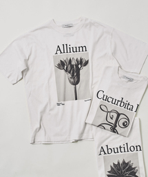 JOHNBULL/ジョンブル karl blossfeldt alium T