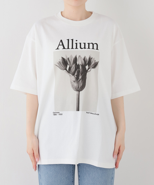FRAMeWORK(フレームワーク)の「JOHNBULL/ジョンブル karl blossfeldt alium T(Tシャツ/カットソー・レディース・ホワイト・FREE)」の2枚目の写真