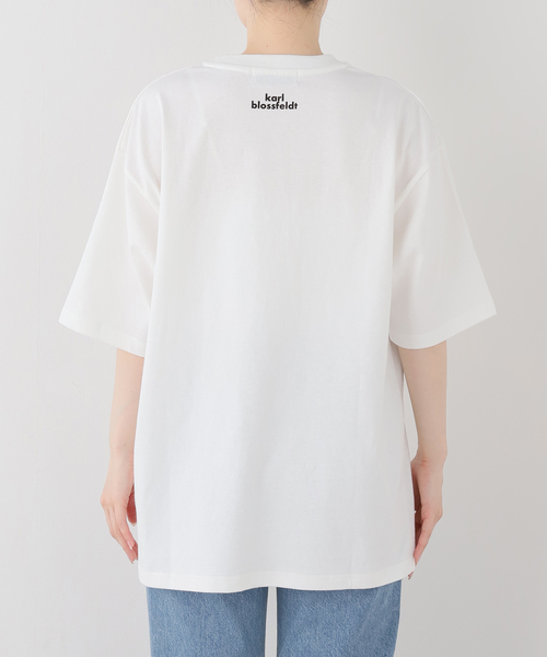 FRAMeWORK(フレームワーク)の「JOHNBULL/ジョンブル karl blossfeldt alium T(Tシャツ/カットソー・レディース・ホワイト・FREE)」の4枚目の写真