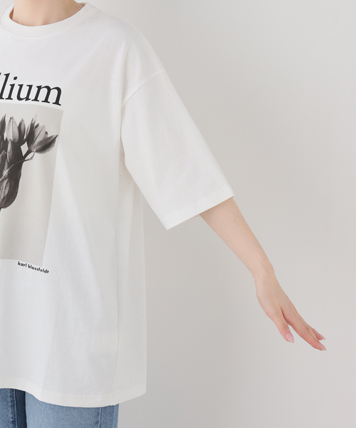 FRAMeWORK(フレームワーク)の「JOHNBULL/ジョンブル karl blossfeldt alium T(Tシャツ/カットソー・レディース・ホワイト・FREE)」の5枚目の写真
