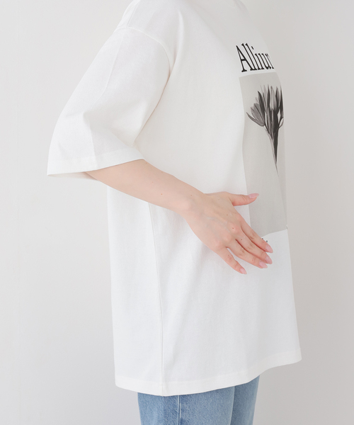 FRAMeWORK(フレームワーク)の「JOHNBULL/ジョンブル karl blossfeldt alium T(Tシャツ/カットソー・レディース・ホワイト・FREE)」の6枚目の写真
