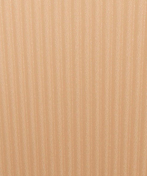 WEGO（ウィゴー）の「WEGO/シアープリーツロンT（Tシャツ/カットソー・レディース・ブルー系その他/ライトブラウン/ナチュラル・FREE）」の20枚目の写真