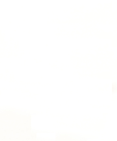 tone（トーン）の「【LIFEWEAR/ライフウェア】SHORTS SLEEVE T-SHIRT 5407(UN)（Tシャツ/カットソー・レディース・ブルー/オートミール/マルーン/ブラック/ネイビー/パープル/レッド/グリーン/ホワイト/オレンジ/グレー/チャコールグレー/ゴールド・MEDIUM/X-LARGE/LARGE/SMALL）」の5枚目の写真