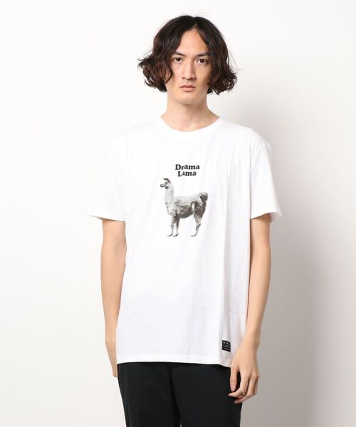 SISLEY(シスレー)の「型押し半袖Tシャツ・カットソー(Tシャツ/カットソー・メンズ・ホワイト/ホワイト系その他/スミクロ・LARGE/SMALL/MEDIUM/X-LARGE)」の21枚目の写真