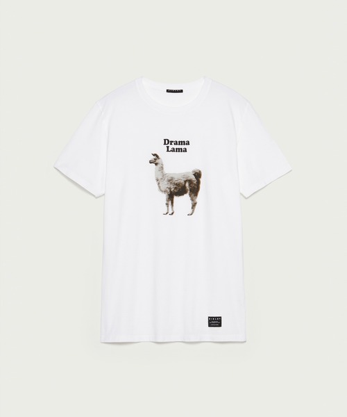 SISLEY(シスレー)の「型押し半袖Tシャツ・カットソー(Tシャツ/カットソー・メンズ・ホワイト/ホワイト系その他/スミクロ・LARGE/SMALL/MEDIUM/X-LARGE)」の10枚目の写真