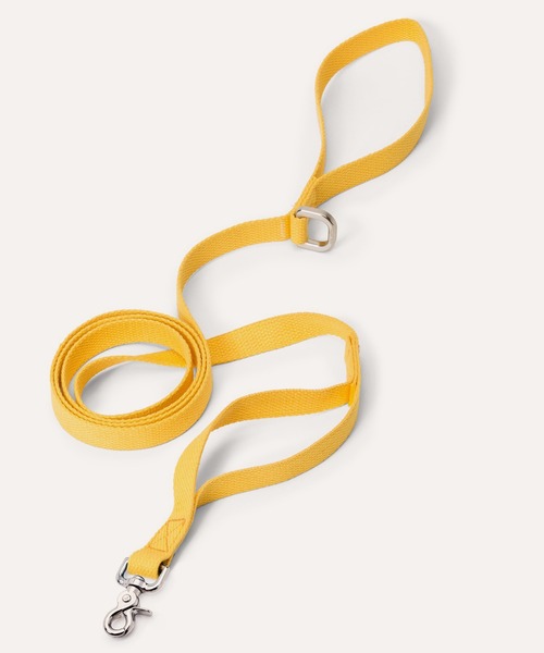 West Paw Design（ウエストポウデザイン）の「.ウエスト パウ デザイン ペットリード / West Paw Design Strolls Leash He［L］（リード/ハーネス/首輪・レディース・ブルー/グリーン/モカ/イエロー・L）」の4枚目の写真
