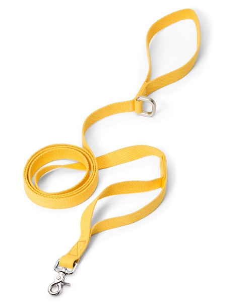 West Paw Design（ウエストポウデザイン）の「.ウエスト パウ デザイン ペットリード / West Paw Design Strolls Leash He［L］（リード/ハーネス/首輪・レディース・ブルー/グリーン/モカ/イエロー・L）」の11枚目の写真