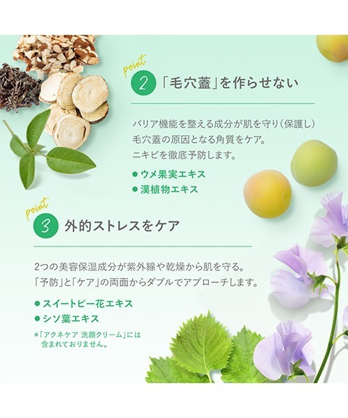 FANCL(ファンケル)の「アクネケア 洗顔クリーム<医薬部外品>(洗顔料・レディース・その他・FREE)」の4枚目の写真