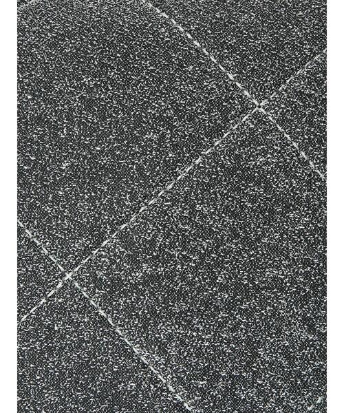 ehka sopo（エヘカソポ）の「ラメバッグ（ハンドバッグ・レディース・シルバー/ブラック・F）」の14枚目の写真