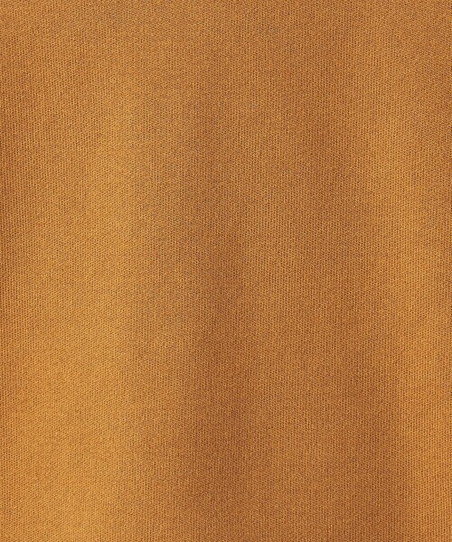 green label relaxing(グリーンレーベルリラクシング)の「クリアコットン スウェットライク クルーネック ニット(ニット/セーター・メンズ・ダークグレー/ワインレッド/マスタード/ライトグレー・XL/S/M/L)」の19枚目の写真