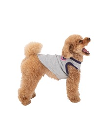 MANDARINE BROTHERS（マンダリンブラザーズ）の「リンガーTシャツ/中型犬･大型犬（ペットウェア・レディース）」