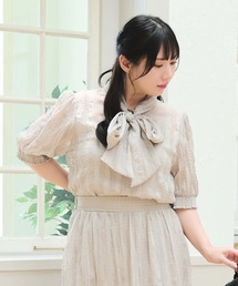 【LL～4L 大きいサイズ】チェック柄シアーブラウス