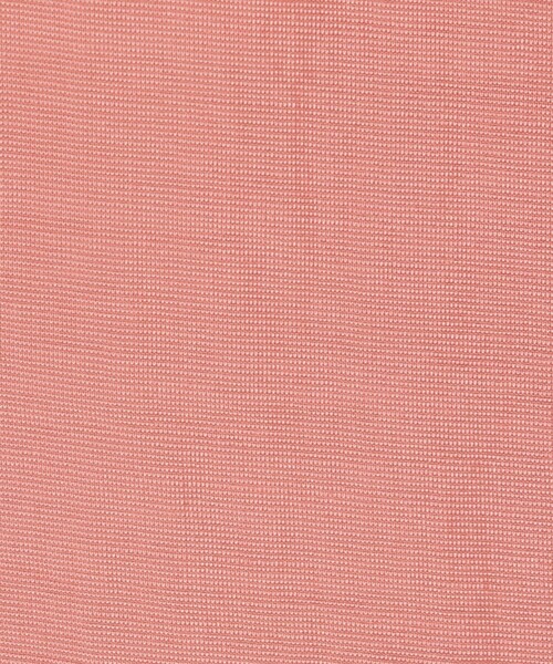 FREAK'S STORE(フリークスストア)の「シアージャケット/ダブルブレストジャケット(テーラードジャケット・レディース・ブラック/ピンク系その他/グレー・フリ-)」の5枚目の写真