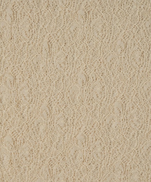 lawgy（ラウジー）の「lace 2way shirring tops / レース2wayシャーリングトップス（Tシャツ/カットソー・レディース・ブラウン/ホワイト/アイボリー・FREE）」の10枚目の写真