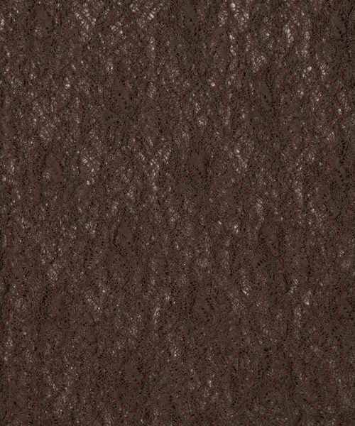 lawgy（ラウジー）の「lace 2way shirring tops / レース2wayシャーリングトップス（Tシャツ/カットソー・レディース・ブラウン/ホワイト/アイボリー・FREE）」の12枚目の写真